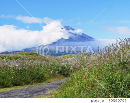 富士山とすすきの静岡県御殿場の秋 70360795