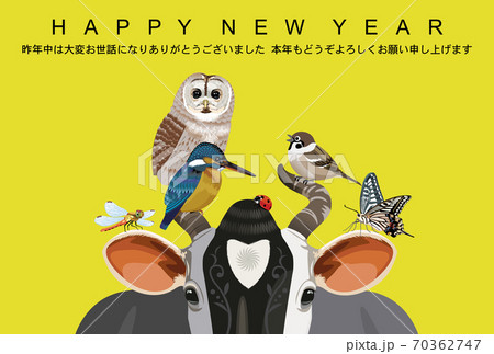 丑年年賀状 丑年年賀状 70362747
