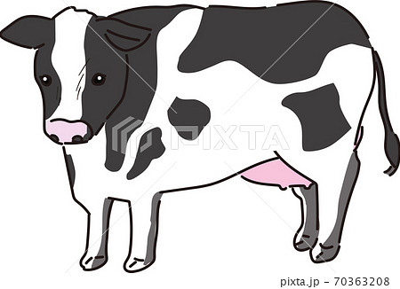 牛のイラスト ホルスタイン 白背景のイラスト素材