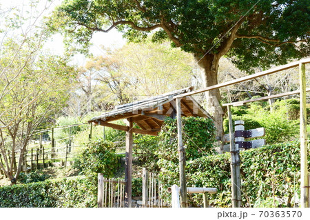 静かに佇む庭門 70363570