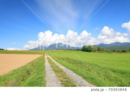 北海道、富良野の風景 70363848