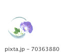 一輪の朝顔 70363880
