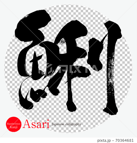 鯏 Asari 筆文字 手書き のイラスト素材