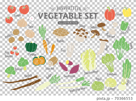 Hand-painted vegetables (no lines) Hand-painted vegetables (no lines) 70366553