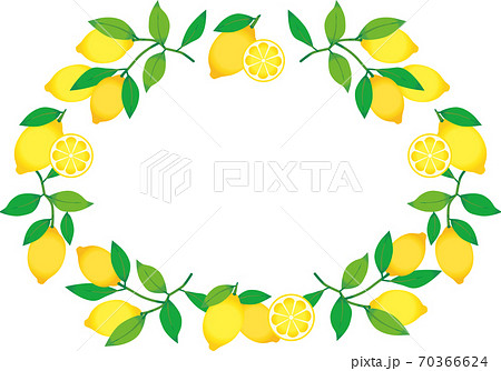レモンのリーフフレーム枠のイラスト素材