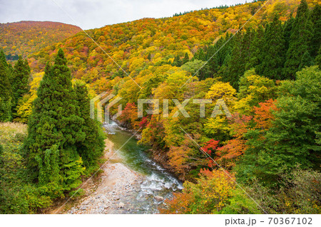 秋田湯沢の秋　紅葉の小安峡 70367102