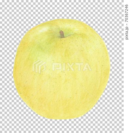 One apple yellow One apple yellow 70367246