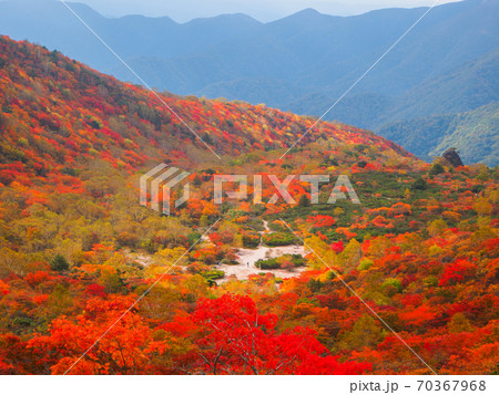 Mountain covered with autumn leaves (栃木県、茶臼岳、姥ヶ平) Mountain covered with autumn leaves (栃木県、茶臼岳、姥ヶ平) 70367968