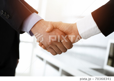 Businessman and woman shaking hands in sunny office, close-up. Concept of handshake as success symbol in business Businessman and woman shaking hands in sunny office, close-up. Concept of handshake as success symbol in business 70368341