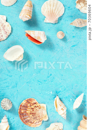 Ocean brochure cover with sea shells, top view, copy space, a flat lay 70369604