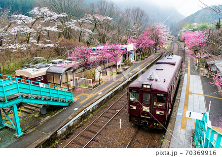 栃木県 わたらせ渓谷鉄道 桜と花桃の咲く神戸駅 の写真素材 70369916 Pixta