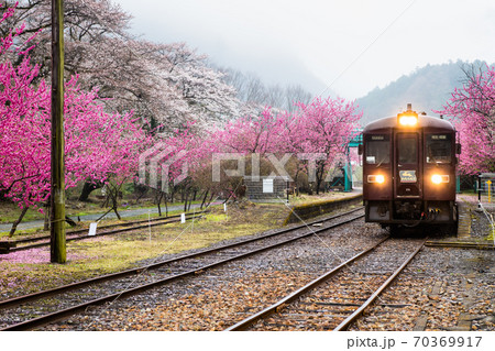 栃木県 わたらせ渓谷鉄道（桜と花桃の咲く神戸駅） 70369917