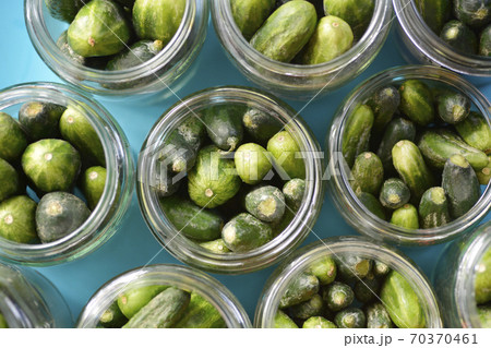 Cucumbers in a jar Cucumbers in a jar 70370461