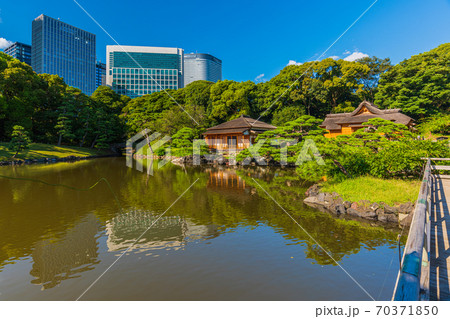 東京庭園巡り、中央区汐留　浜離宮恩賜公園　都立文化財庭園 70371850