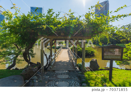 東京庭園巡り、中央区汐留　浜離宮恩賜公園　都立文化財庭園 70371855