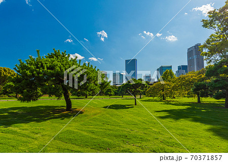 東京庭園巡り、中央区汐留 浜離宮恩賜公園 都立文化財庭園 東京庭園巡り、中央区汐留 浜離宮恩賜公園 都立文化財庭園 70371857