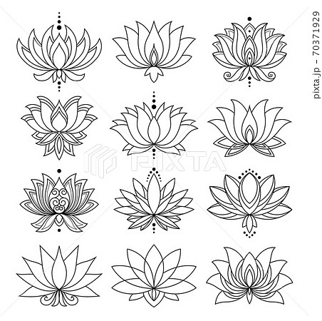 Lotus Icons Set Blooming Flowers Monochrome のイラスト素材