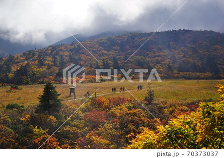 栗駒山の名残ヶ原を歩く登山者 栗駒山の名残ヶ原を歩く登山者 70373037