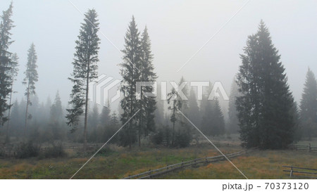 Sad nature landscape in fog. Sad nature landscape in fog. 70373120