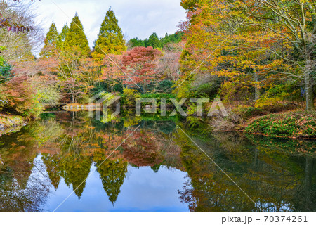 静岡県函南町、原生の森公園、紅葉 静岡県函南町、原生の森公園、紅葉 70374261