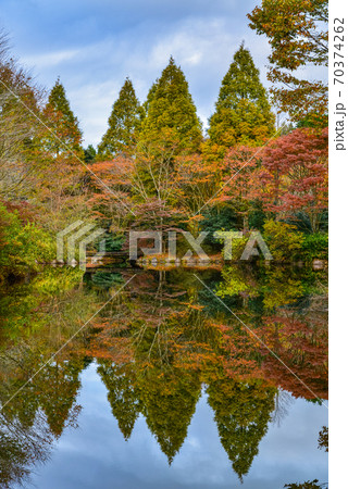 静岡県函南町、原生の森公園、紅葉 静岡県函南町、原生の森公園、紅葉 70374262