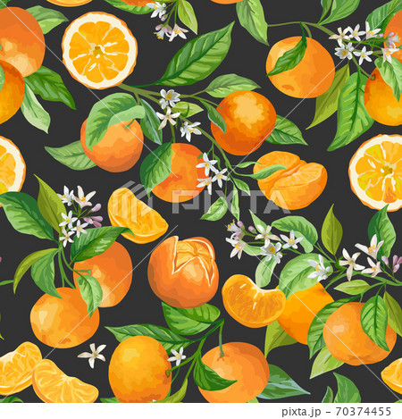 Mandarin Floral Pattern. Vector Seamless Fruit Background, Citrus Fruits, Flowers, Leaves, Orange Branches Texture Mandarin Floral Pattern. Vector Seamless Fruit Background, Citrus Fruits, Flowers, Leaves, Orange Branches Texture 70374455
