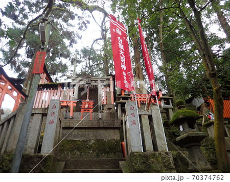 京都 鳥居 伏見稲荷大社 お参り 稲荷大神 重要文化財 伏見区 京都 鳥居 伏見稲荷大社 お参り 稲荷大神 重要文化財 伏見区 70374762