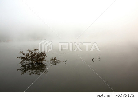 貯水池 霧 風景 70375175