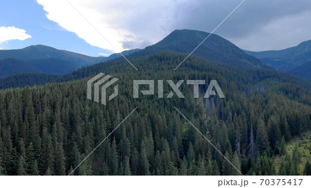 Topview of forests in mountains. 70375417
