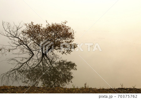 貯水池 霧 夜明け 70375762