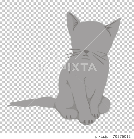 貓 70376011