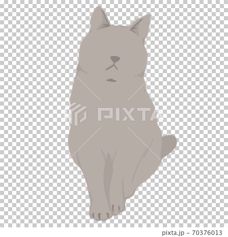 貓 70376013