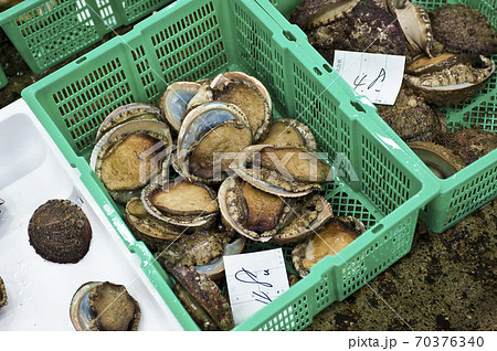 アワビ 京都中央市場, アワビ 京都中央市場, 70376340