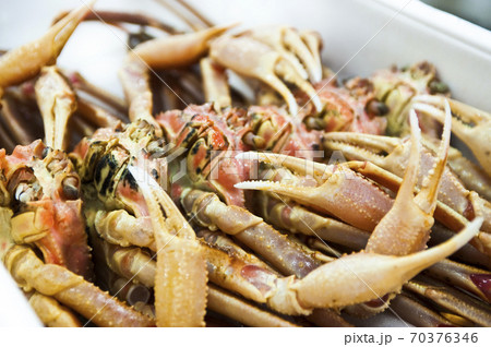 ズワイガニ　京都中央市場 70376346