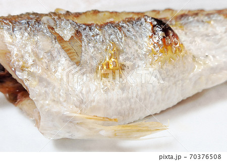 家庭的で素朴な自宅調理の カマスの塩焼き 水彩画風のイラスト素材