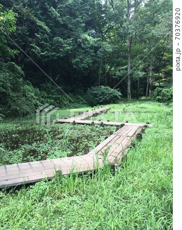 愛鷹運動公園 70376920