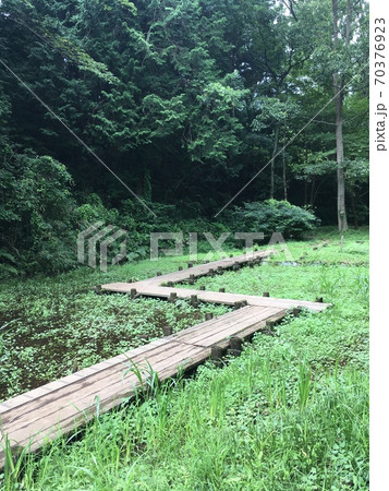 愛鷹運動公園 70376923