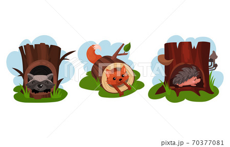 Funny Animals Sitting in Tree Hollow Vector Set 70377081