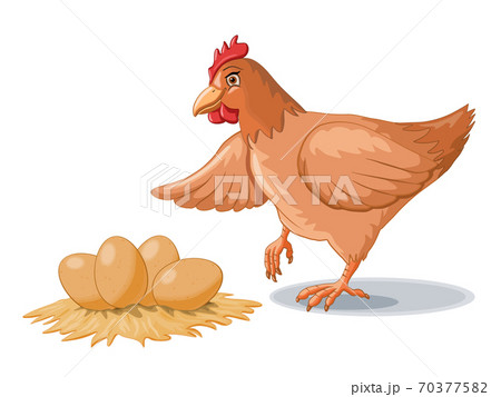 Hen and some fresh eggs.  70377582