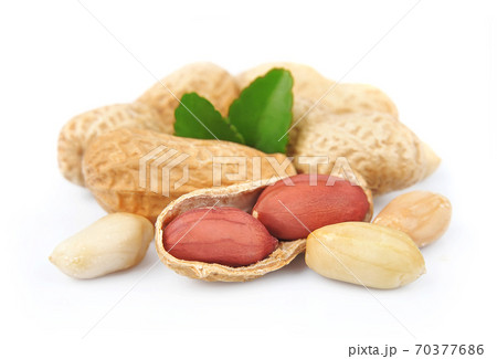 Peanut isolated on white backgrounds. Peanut isolated on white backgrounds. 70377686