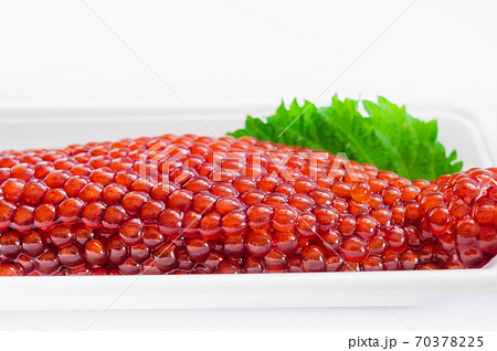 生筋子 生筋子 70378225