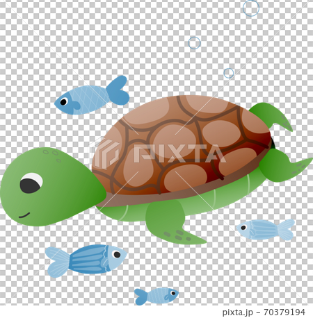 Cute vector childish turtle with little fishes, graphics for educational posters about marine life 70379194