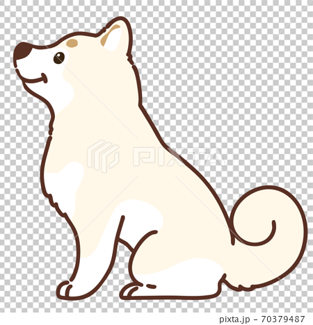 笑顔でお座りする白い柴犬のイラスト 横向き 主線ありのイラスト素材