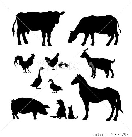 Black silhouettes of farm animals. Icons set of... - Stock Illustration  [70379798] - PIXTA