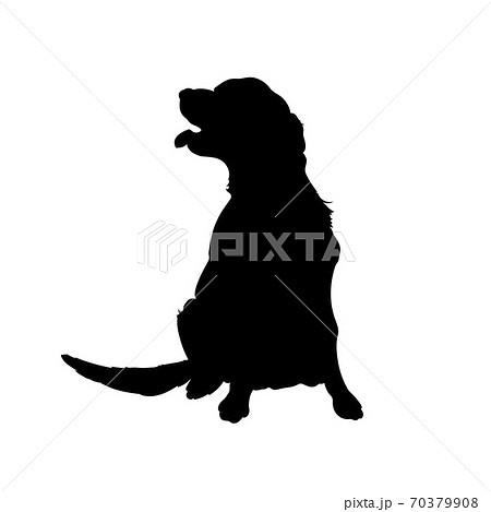Black silhouette of dog. Isolated image of retriever. Farm pet. Veterinary clinic logo 70379908