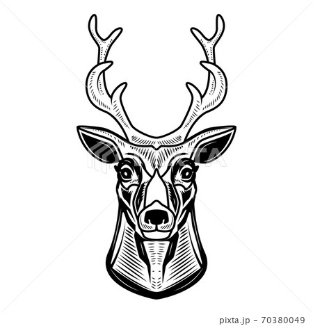 Deer icon isolated on white background. Design element for logo, label, emblem, sign. 70380049