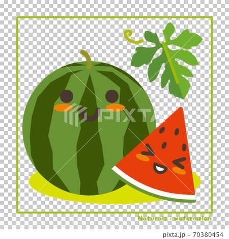 Information on harvesting with watermelon fruits Information on harvesting with watermelon fruits 70380454