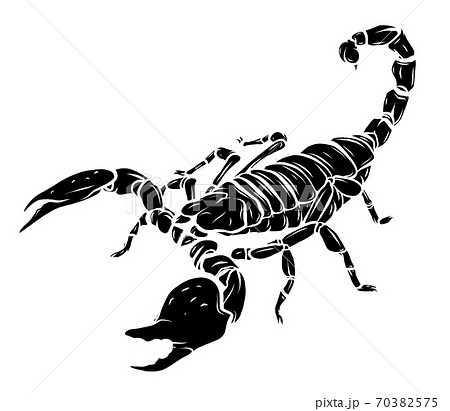 Black Silhouette Vector Scorpion Tattoo のイラスト素材