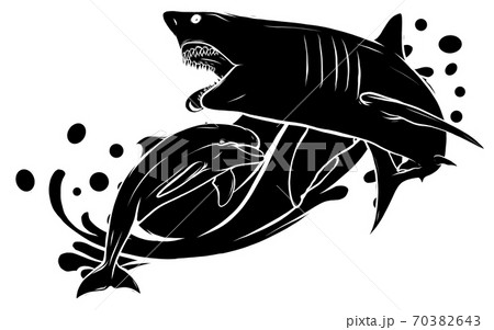 black silhouette dolphin who is jumping out of sea water on white background, isolated. Vector illustration. black silhouette dolphin who is jumping out of sea water on white background, isolated. Vector illustration. 70382643