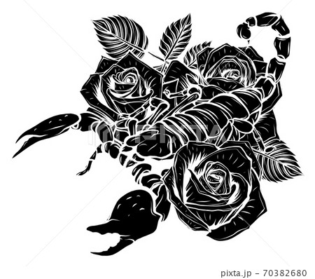 Scorpion and roses  color tattoo vector  Stock Illustration  69716271  PIXTA